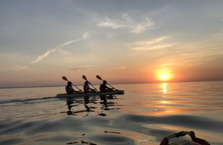 https://kayak.od.ua/ua